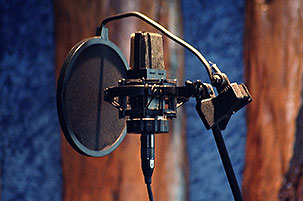 AKG C414B-XLII condensor mic